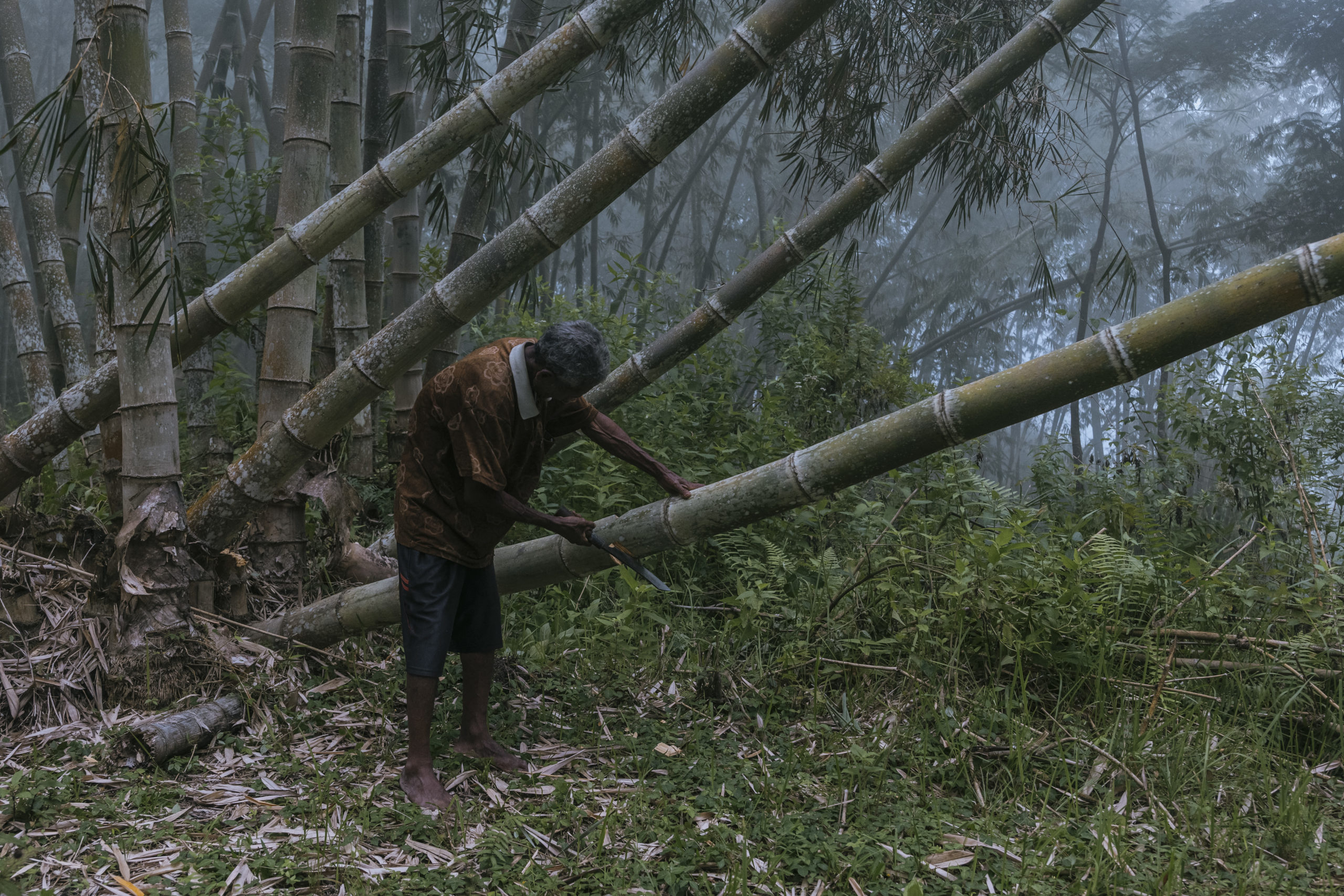 Bamboo & Indigenous Knowledge in Indonesia