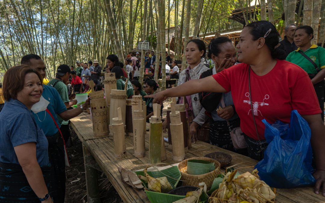 Bamboo and Restorative Economy