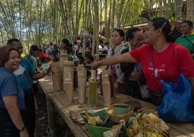 Bamboo and Restorative Economy